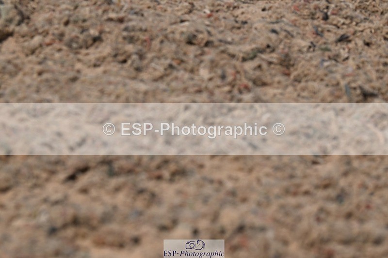 250621-153209-11808 - Cls 33 - Medium 6