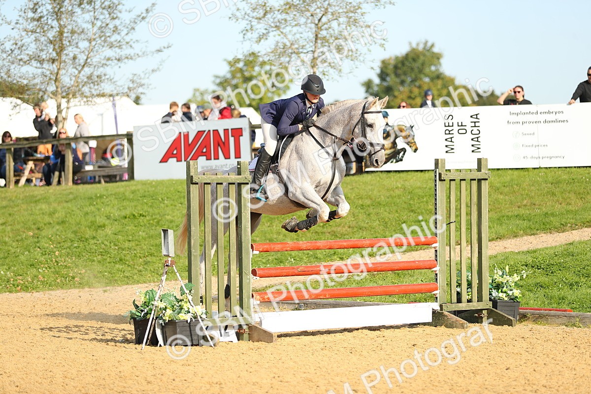 SBM_60284 - J41 - Grand Tour 95cm Championship