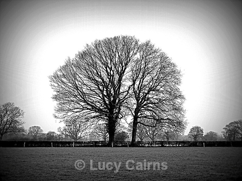 Week 5 - B&W Landscape - 52 Week Photography Challenge 2016