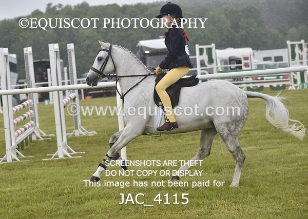 JAC_4115 - 40CM WORKING HUNTER