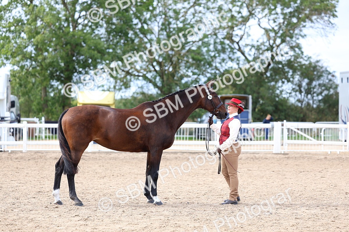 SBM_03941_Class 25 - IH Foreign Breeds - Pure bred - 516