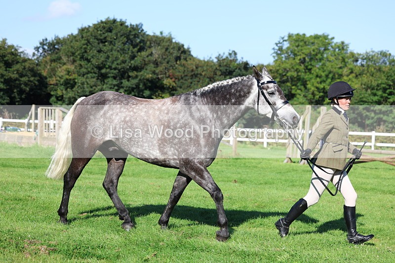 3E7A7668 - Class 1: Novice Working Hunter Pony