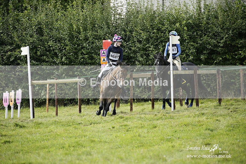  WWHT 031021 2354 - Novice Pairs (0.80m)  03/10/21