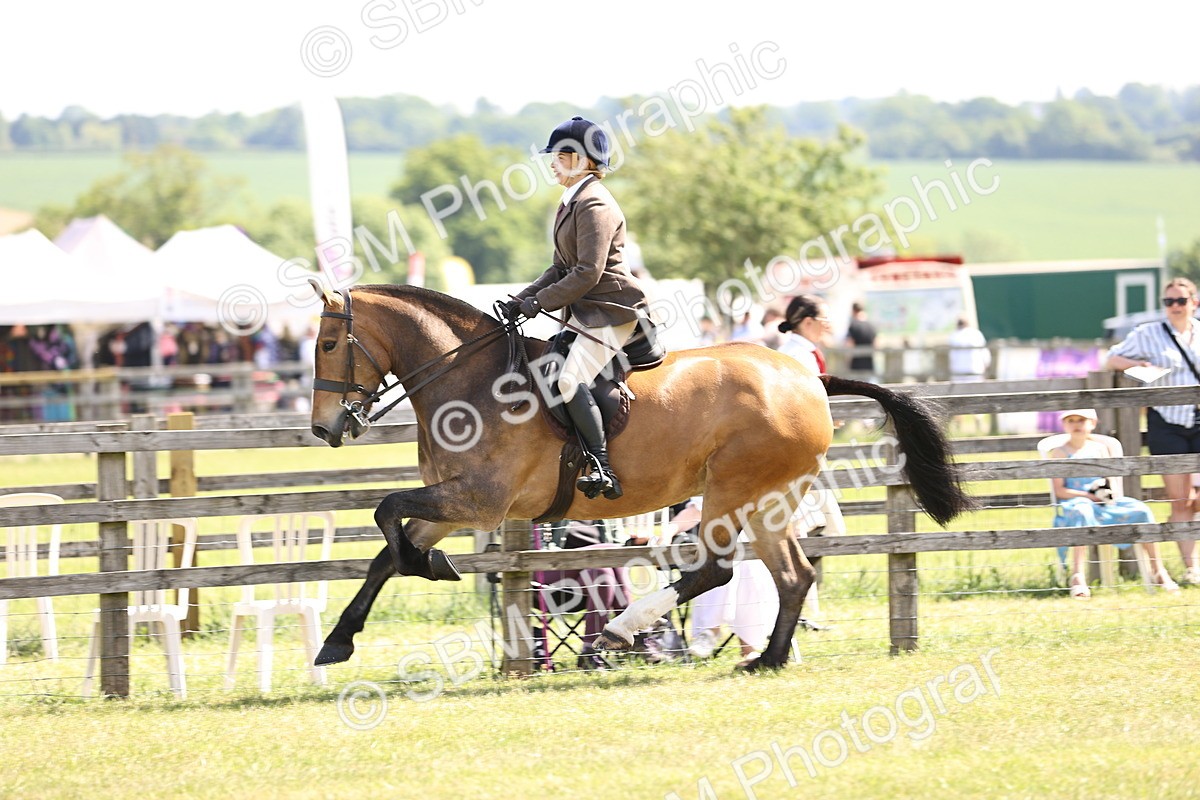 SBM_13763 - Class 77 - LIHS BSHA Rising Star Cobs