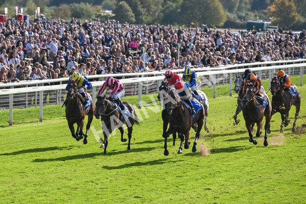 111025-Race 1-Division-8207 - Race 1 Coral Rockingham Stakes at York