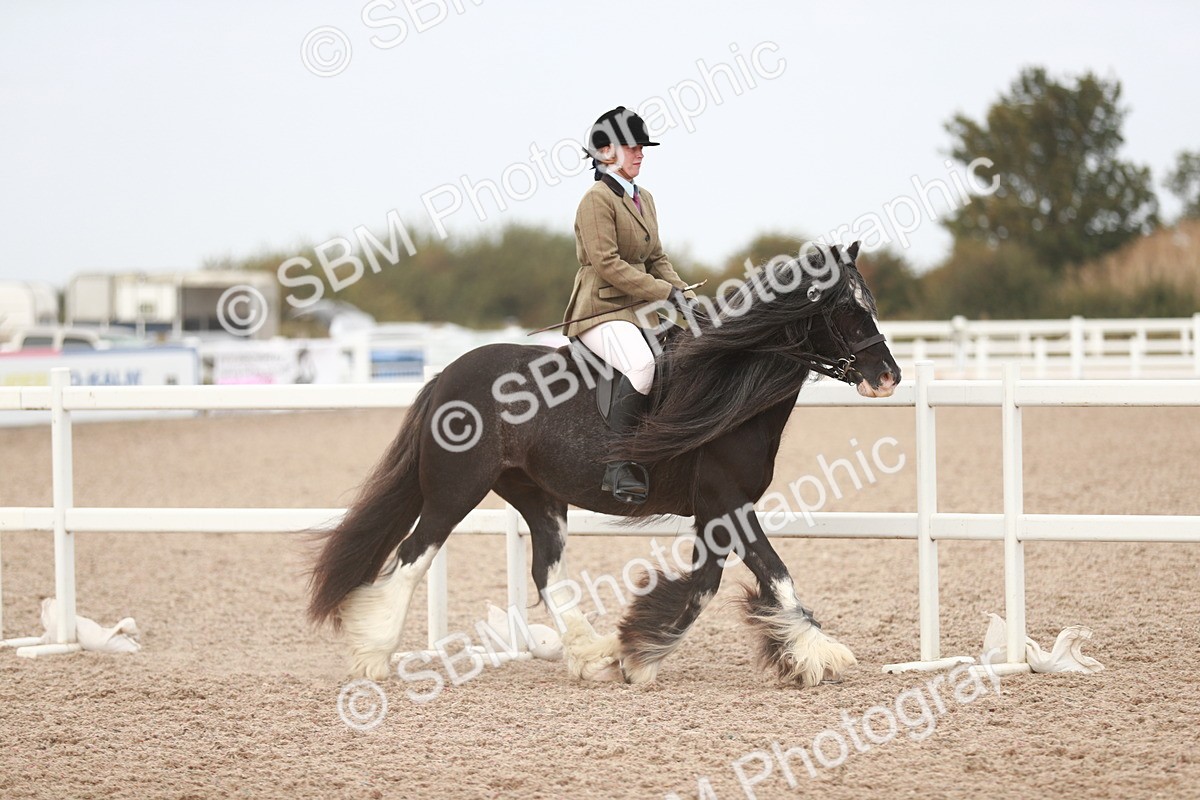 SBM_16635 - Class 214 Ridden Cob