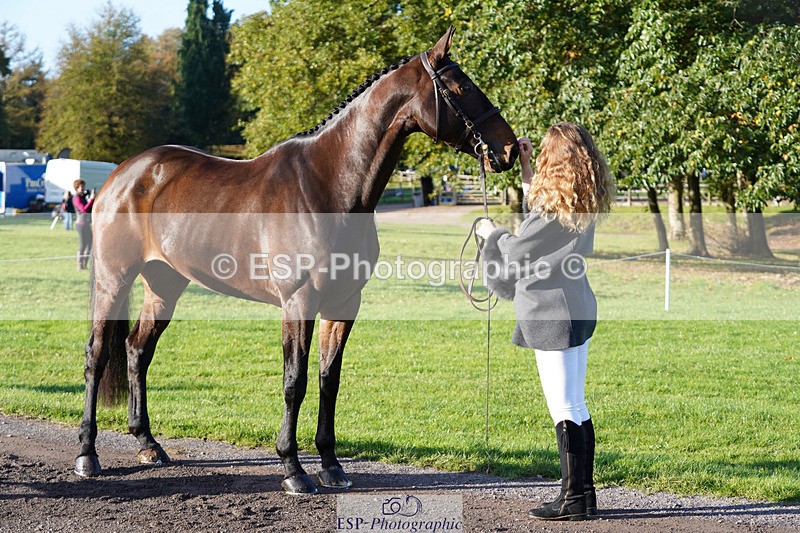 241026-101008-11662 - 055-Ellie.Fredericks-UPPER.CLASS.BRIT