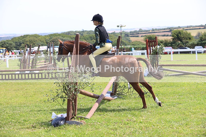 JPP_2565 - Class 21: Working Hunter 60cm