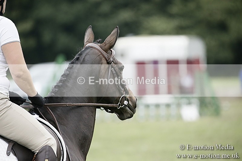 BVR080918 402 - BVRC Novice Dressage & CR 08/09/18