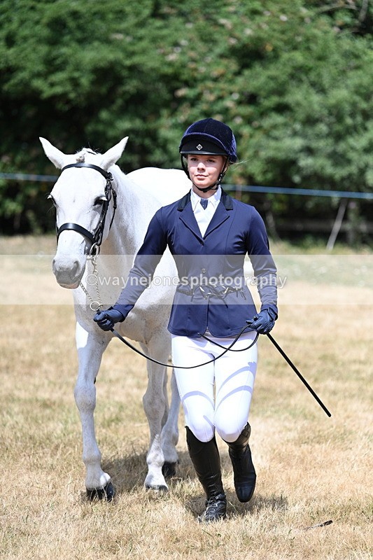 WJ7_1605 - Class 4 Prettiest Mare up to 14.2hh in hand
