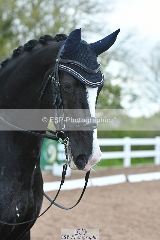 230511A-162752-01378 - BD Cls 18 FEI PSG