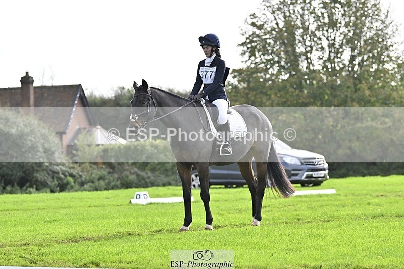 241025-132447-09447 - 377-Bethany.Hull-CARRICK.DIAMOND.OLIVER