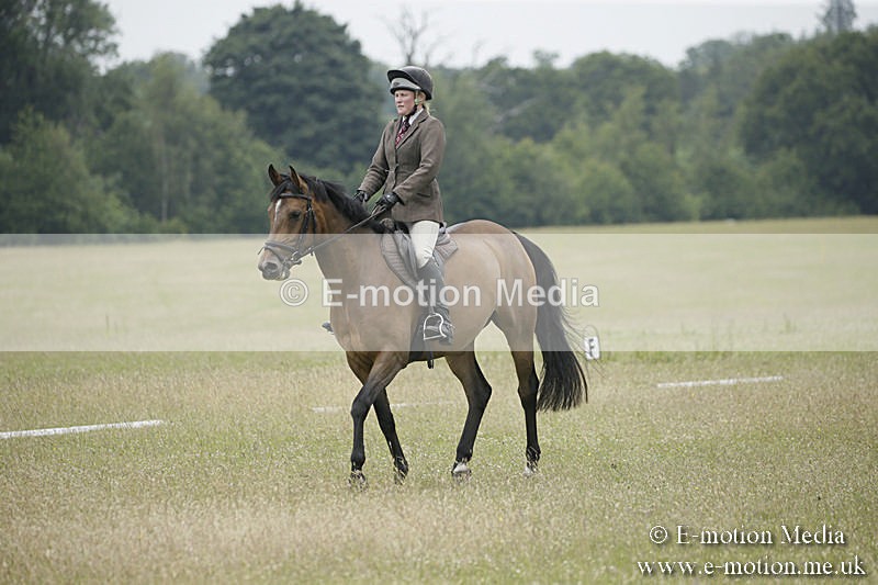 B230619-0627 - Bourne Valley Riding Club Summer Show 23/06/19