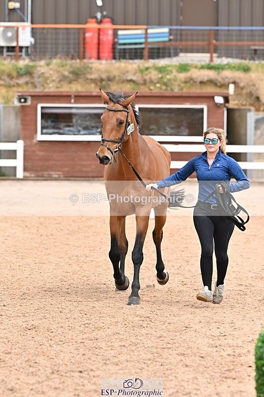 250716-144826-01414 - Trot Up 2.30 to 3.30