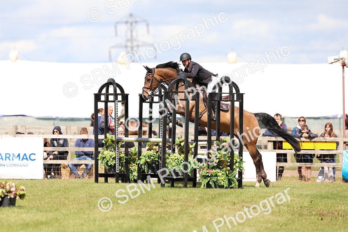 SBM_13806 - Class 206 - Senior Newcomers - 1.10m Open