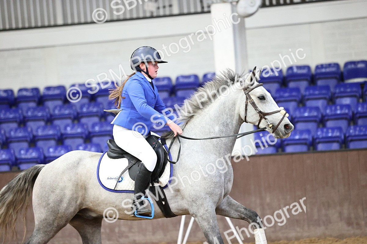 SBM_001908 - Class 10 - Pony British Novice 80cm Open
