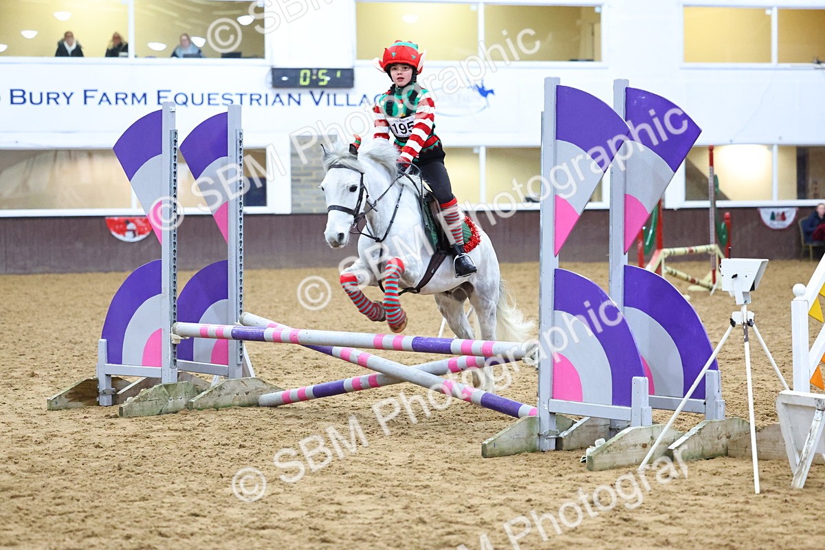 SBM_001340 - Class 3 - Christmas Tree Stakes - 60cm