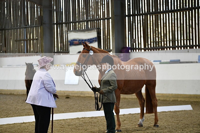 WJ5_3606 - Class 5 In Hand Veterans