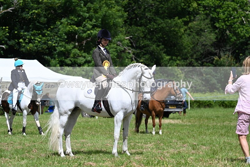 WJ7_1824 - Class 9 Pony Club Pony