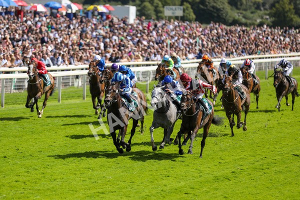 150723-Race 3-Pride of America-8806 - Race 3 3.10pm John Smith's Cup Handicap
