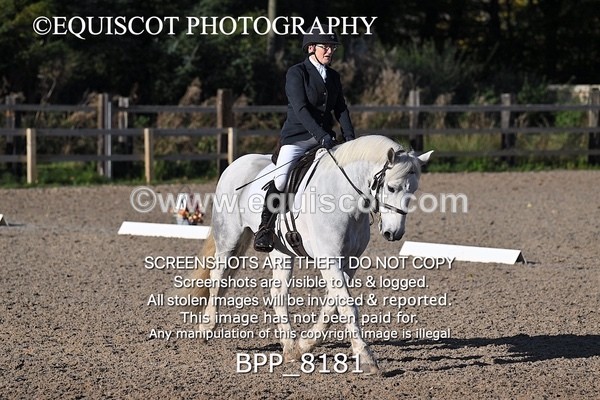 BPP_8181 - LONG ARENA