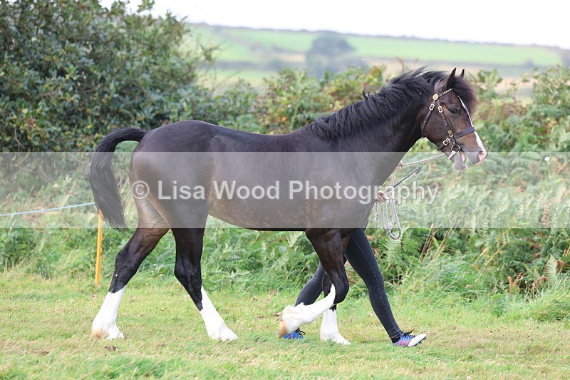 3E7A4036 - Class 15: Two Year Olds