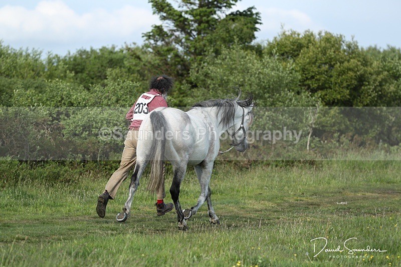 SPXX0148 - Friday vetting