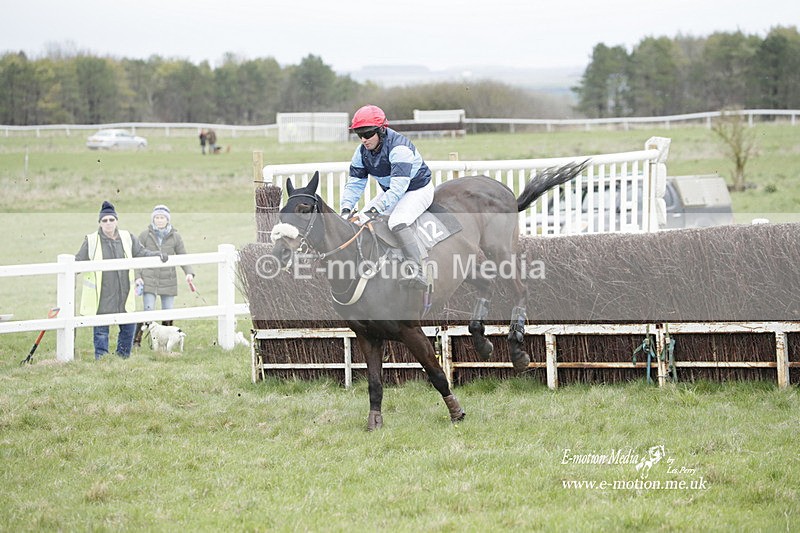 PtP 260323 0473 - New Forest Hounds Point-to-Point Larkhill 26/03/23