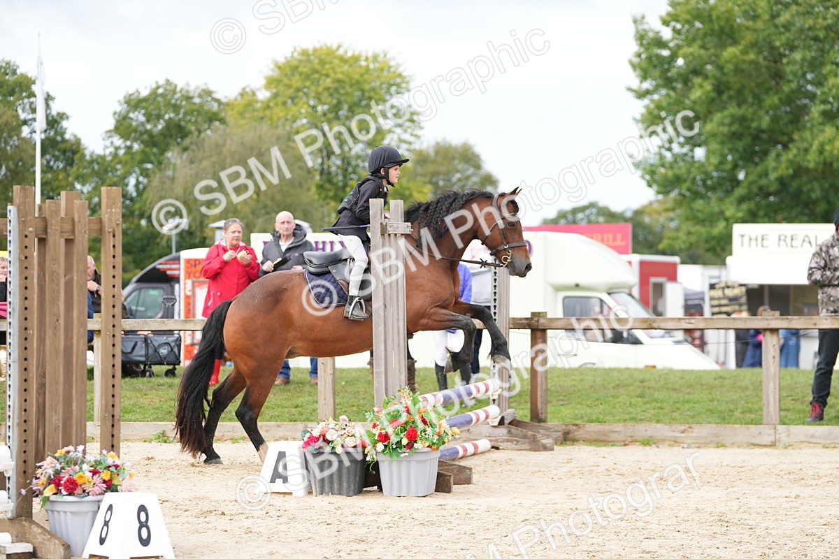SBM_39803 - J6 - Junior Pony 55cm Championship