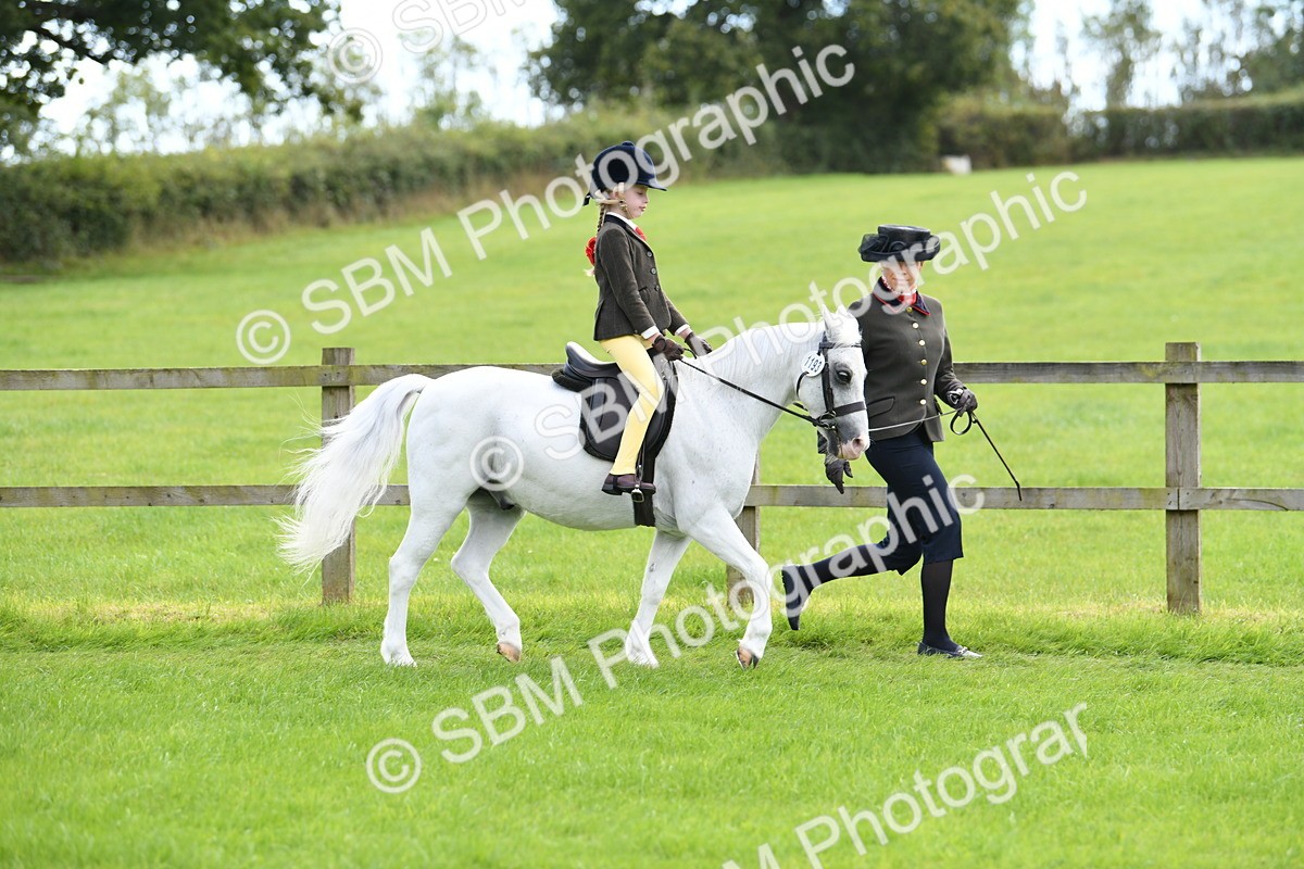 SBM_42444 - S20 - Lead Rein Mountain & Moorland Pony
