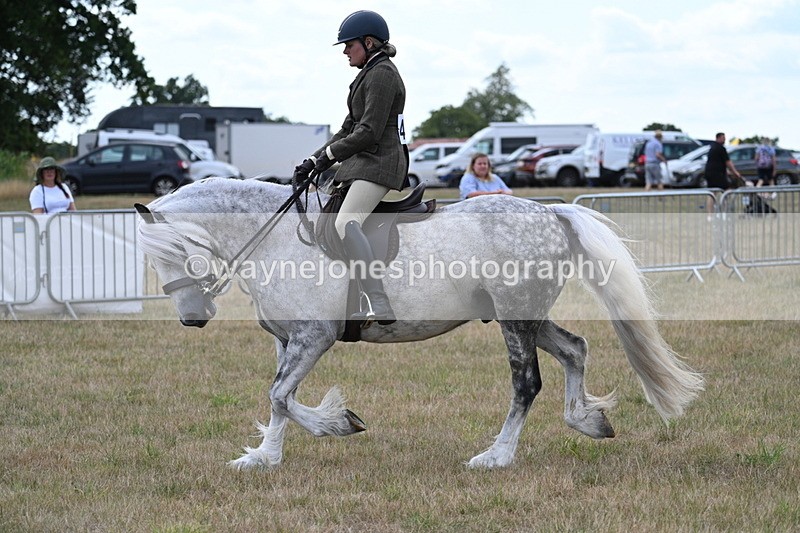 WJ7_5285 - Class 12 Ridden Cob