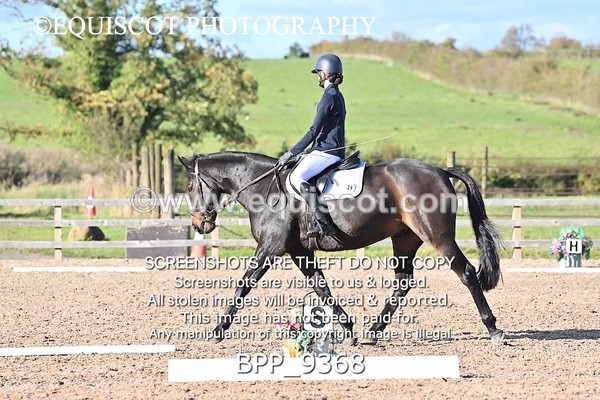 BPP_9368 - SHORT ARENA