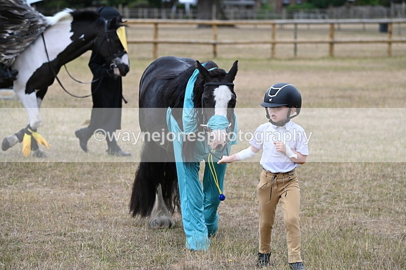 WJ6_8783 - Class 11 Fancy Dress