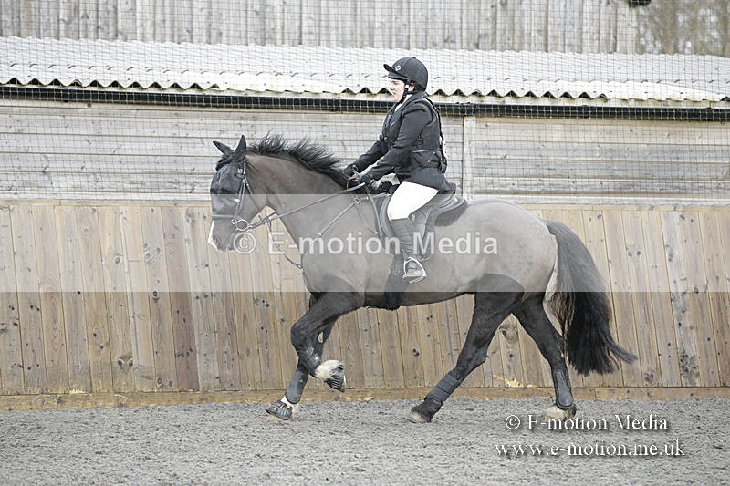 BVRC 050320 0205 - Bourne Valley riding Club Show Jumping Tidworth 08/03/20