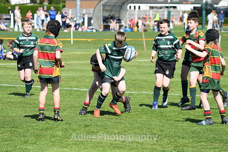  - Selby Rugby Festival 2025