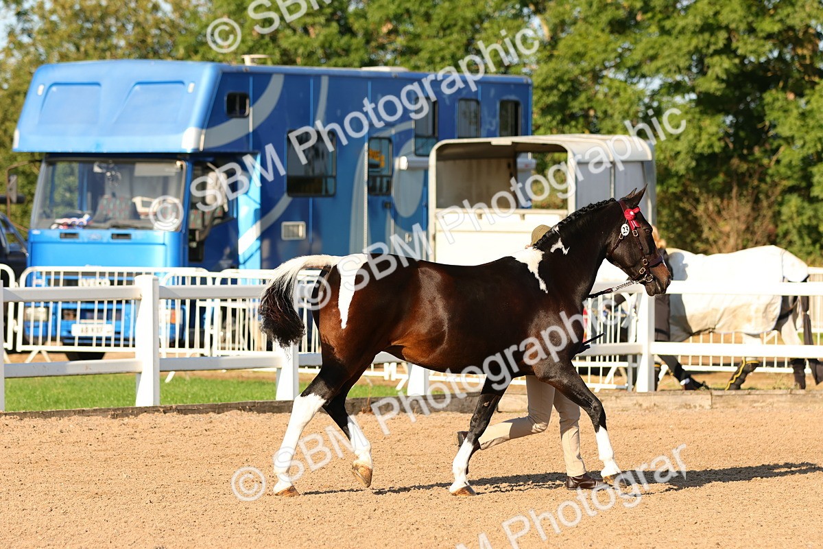 SBM_08008 - Class 201 - Best Turned Out - IH