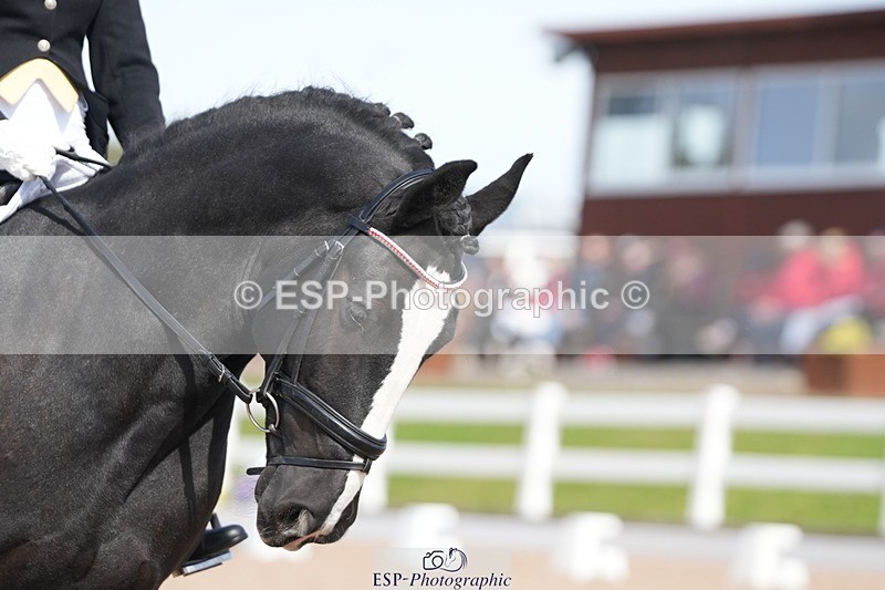 250906-140536-03874 - 021-Francesca.TurnerAlbie