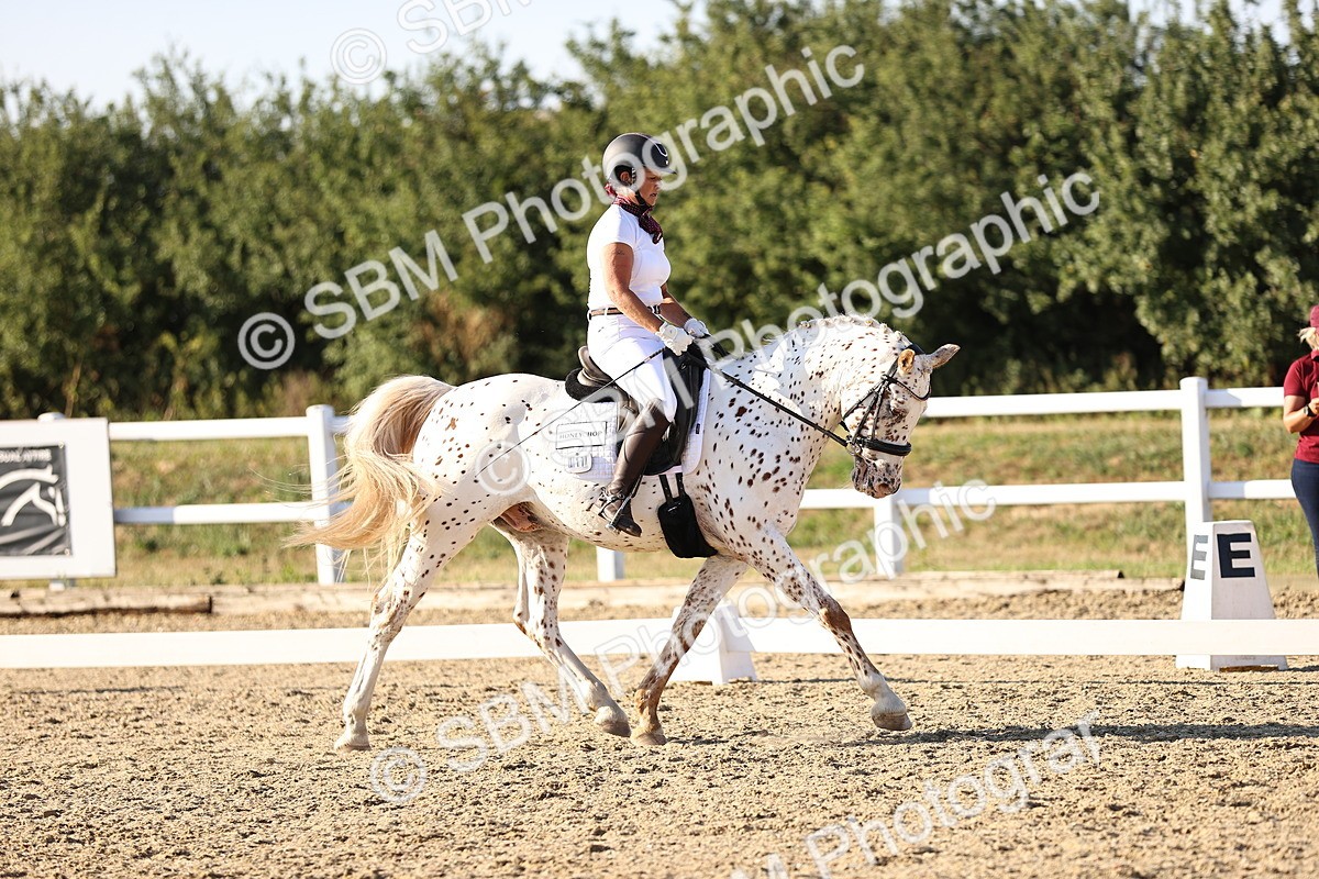 SBM_007824 - Elementary 4 - 17.07-18.22
