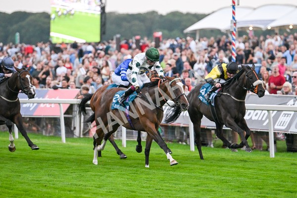 250725-Race 6-Luna A Inbhir Nis-6113 - Race 6 8.23pm Sky Bet Go-Racing-In-Yorkshire Summer Festival Handicap