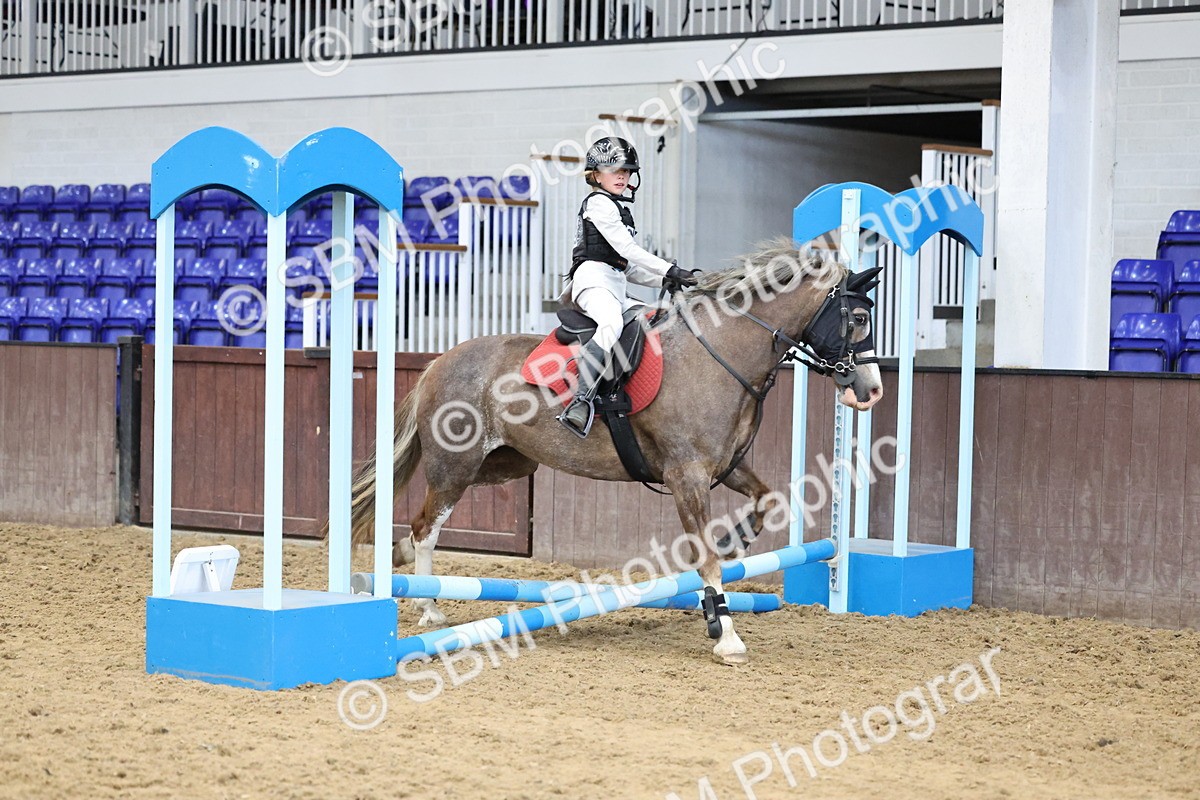 SBM_007010 - Class 1 - 40cm showjumping