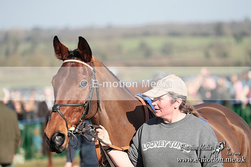 PtP 010325 247 - Beaufort Races Didmarton 01/03/25