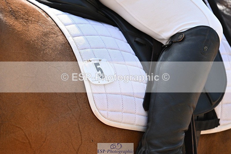 250815-131611-01414 - 005-Patricia.HaskinsGaelic.Surprise