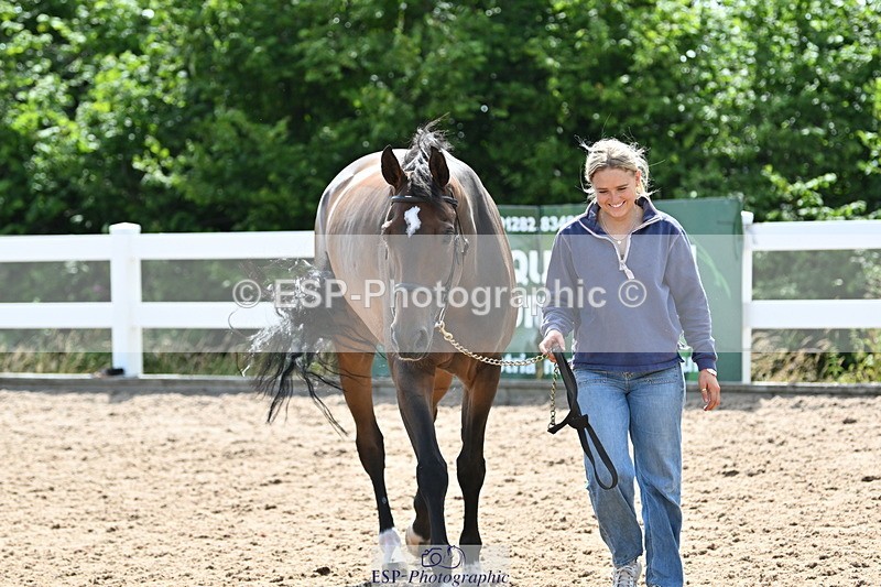 240717A-152637-02825 - Trot Up 3pm to 4pm
