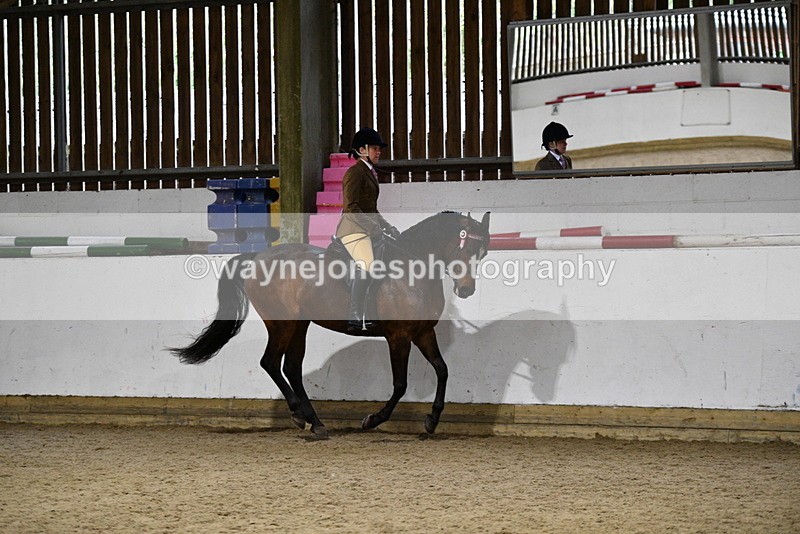 WJ5_8791 - Class 15 Ridden Show Horse