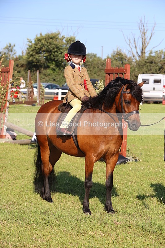 JPP_0881 - Class 16: Cornish Combination Leading Rein