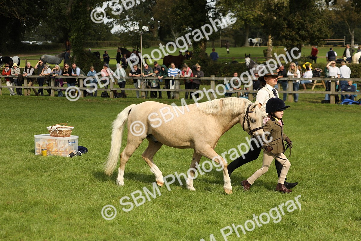 SBM_62776 - S46 - Mountain & Moorland In Hand Small Breeds