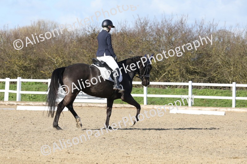 20260314-4962 - CT6 - Elementary 1