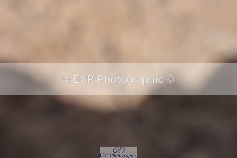 240706A-160312-04096 - Cls 4D Snr Elementary