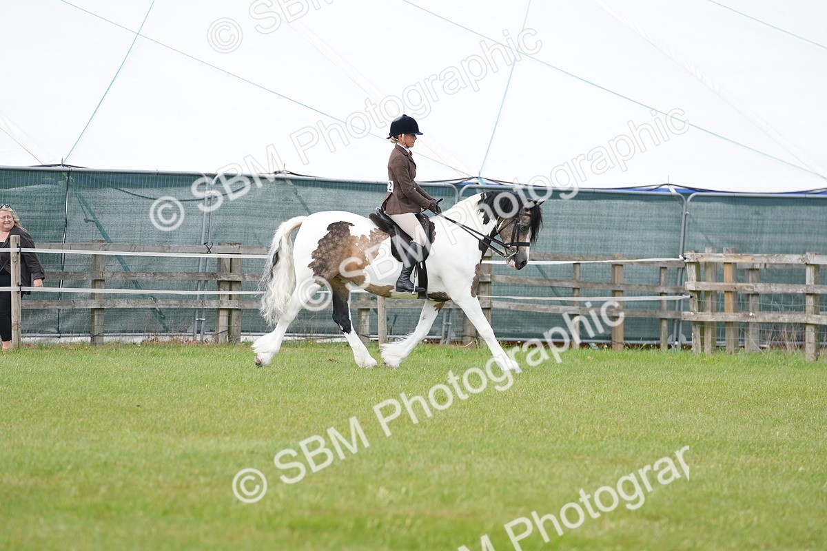 SBM_17218 - Class 107-108 - LIHS BSPS Performance Coloured Horse Pony