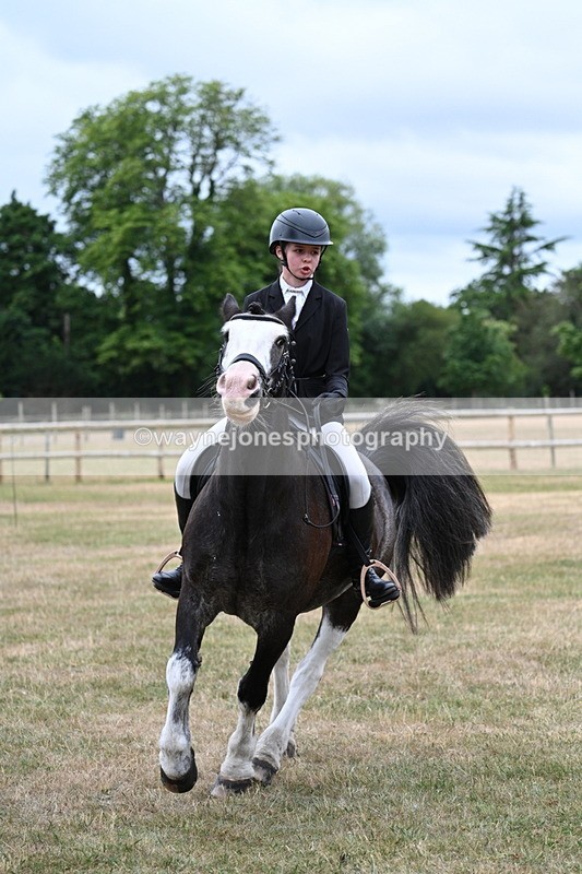 WJ7_0319 - Class 2 Best rider